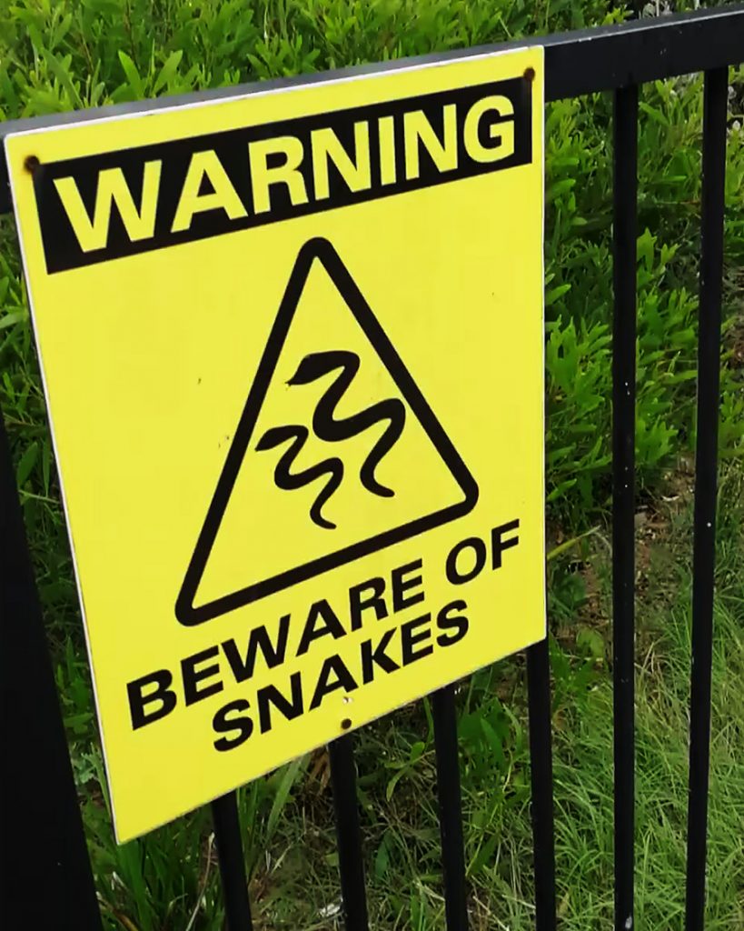 A sign at the beginning of Stockton Beach that says 'WARNING BEWARE OF SNAKES'.