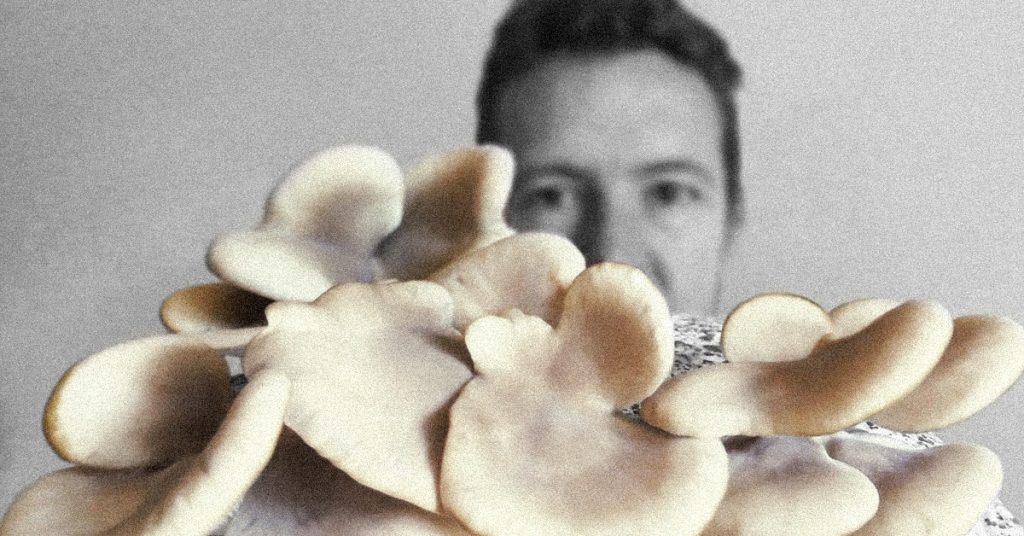 Tim Horan poses behind a flush of white oyster mushrooms he grew at home.